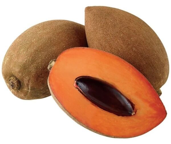 SAPOTA