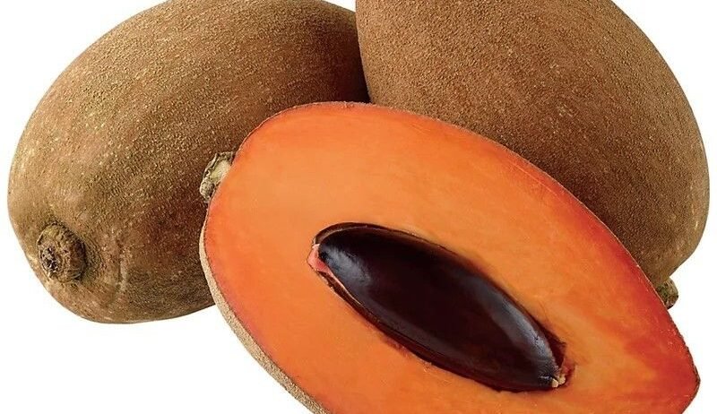 We supply bulk sapota for wholesalers, fruit retailers, supermarkets, and food businesses. Sapota is commonly used for fresh eating, milkshakes, desserts, and healthy fruit applications. Key Points Fresh Sweet Sapota Soft Juicy Texture Premium Tropical Fruit Hygienically Packed Export Quality Available Bulk Supply Options