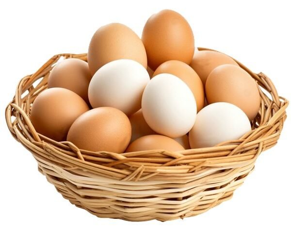 EGG