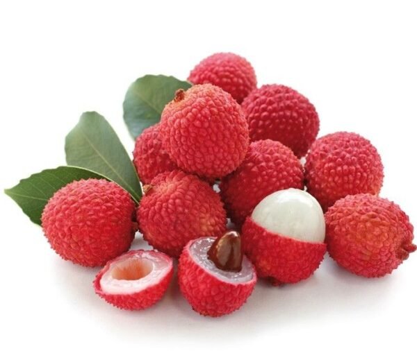 LITCHI