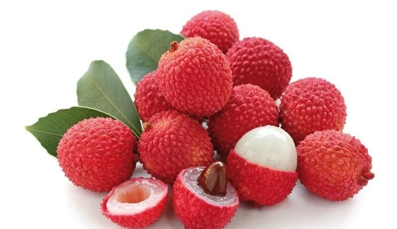 We provide bulk litchi supply for fruit distributors, supermarkets, wholesalers, and retail businesses. Litchis are highly preferred for fresh consumption, juices, desserts, and tropical fruit applications. Key Points Fresh Premium Litchi Naturally Sweet Flavor Juicy Tropical Fruit Export Quality Available Hygienic Packaging Bulk Supply Options