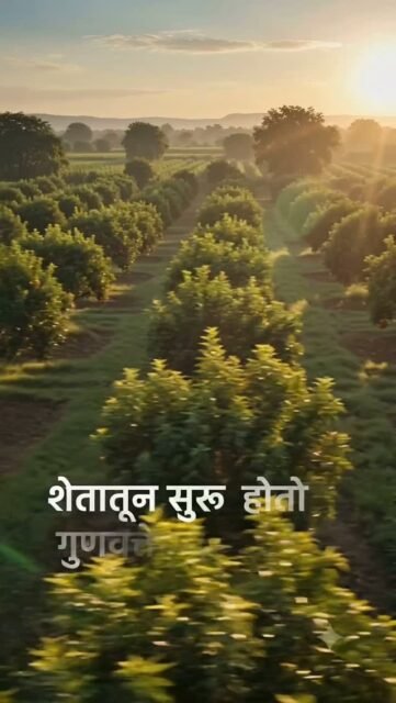 घर आणि व्यवसायासाठी एकच विश्वासू नाव – KS Ananta.

#trending #fruit #fresh #today #viral