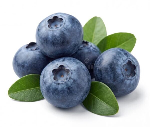 BLUEBERRY